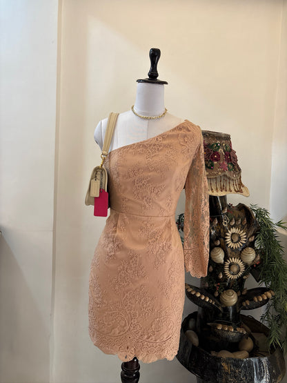 Nude Lace One Shoulder Dress