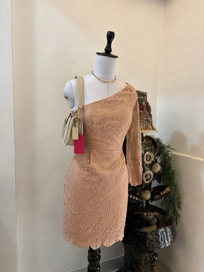 Nude Lace One Shoulder Dress